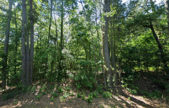 4.5 acres | Located in Bienville Parish, LA
